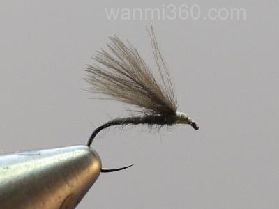 Mole-f-fly_1
