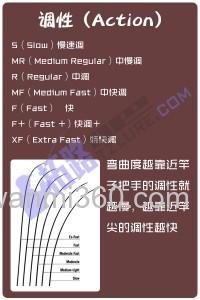 路亚竿的调性和弯曲度表_1