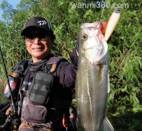 小沼正弥監修 DAIWA SHORELINE SHINER-Z SETUPPER FULLBACK 125SDR 海鲈用饵_0