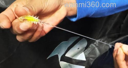 耐用且自然 Dranckrazy Pollywog 2inch T尾_3