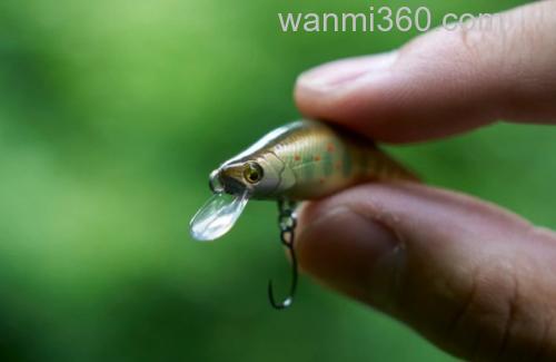 溪光流闪SHIMANO CARDIFF REFRAIN 42S_2