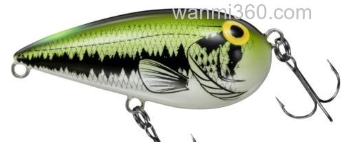 诱惑的杏仁！DAIWA ALMOND_0