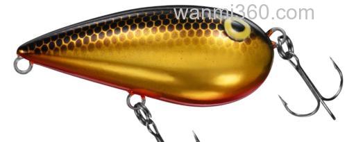 诱惑的杏仁！DAIWA ALMOND_1