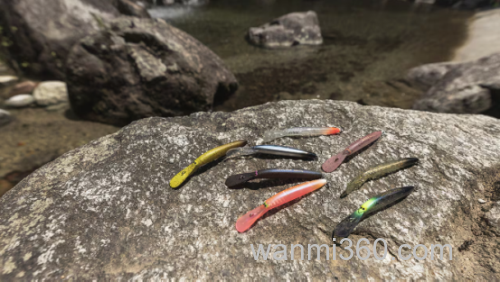 SHIMANO cardiff 大鸟丸 & DIVERISE 新品管钓鳟鱼米诺_7