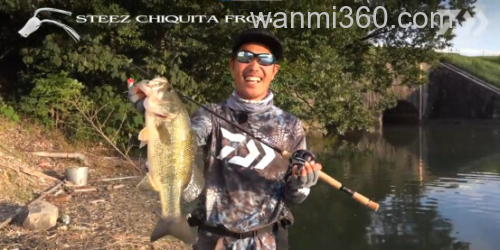 秘密武器小蛙!daiwa Steez Chiquita Frog 超紧凑小鲈蛙_0