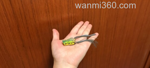 秘密武器小蛙!daiwa Steez Chiquita Frog 超紧凑小鲈蛙_1