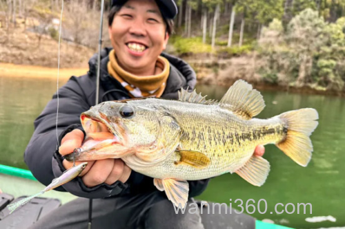 跳起来!jackall 2024 Live Darter_1