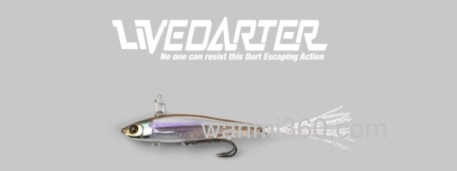 跳起来!jackall 2024 Live Darter_0