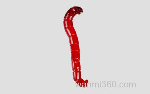 红虫_3