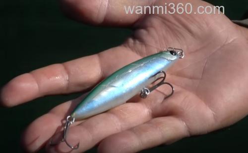 秦拓马新品牌FISH MAGNET推出首款产品 TYGAN90_3