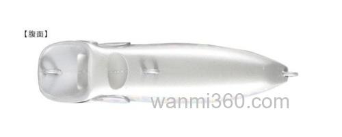 咸淡皆可喔!DUO 24新品 Reprush 62F 黑鲷波爬_2