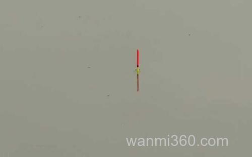 蚯蚓钓鱼_4