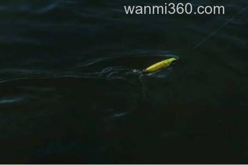 远投！小！造波！！shimano Counterwake 80F 海鲈造波米诺_2