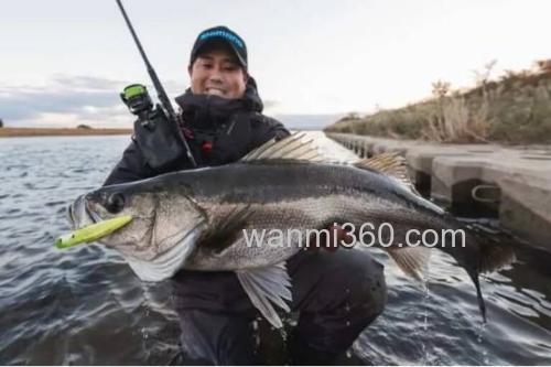 远投！小！造波！！shimano Counterwake 80F 海鲈造波米诺_4