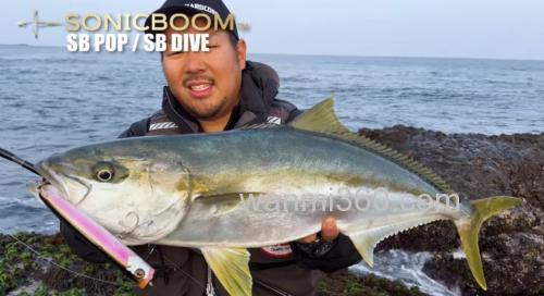 爆炸的飞行距离！DUEL SONICBOOM SB POP（F）海用水面系_1
