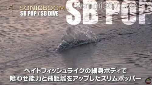 爆炸的飞行距离！DUEL SONICBOOM SB POP（F）海用水面系_3