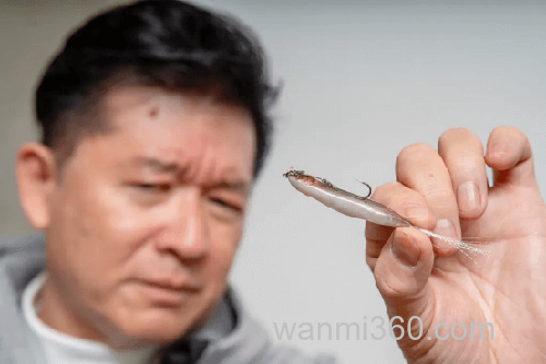 imakatsu 2024新饵（1）_4