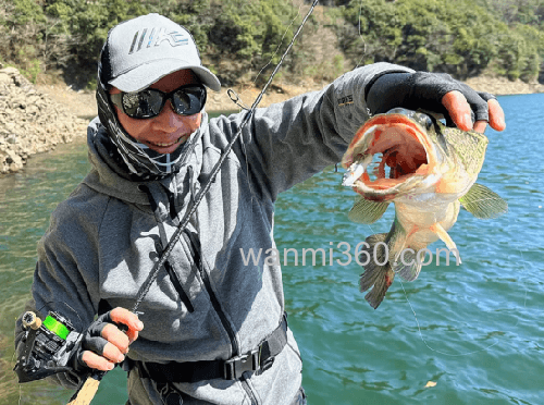 imakatsu 2024新饵（1）_5
