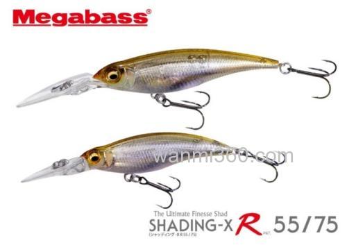 经典饵型更新 2024 MEGABASS SHADING-X R 55/75_0