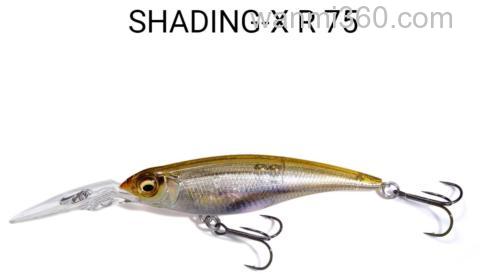 经典饵型更新 2024 MEGABASS SHADING-X R 55/75_2