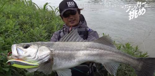 强烈刺激!DUO ROUGH TRAIL MAKIFLAT 155F 海鲈大饵_2