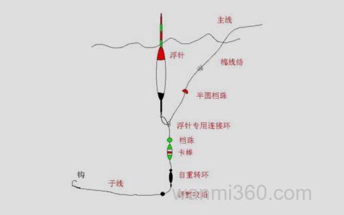浮游线组_2