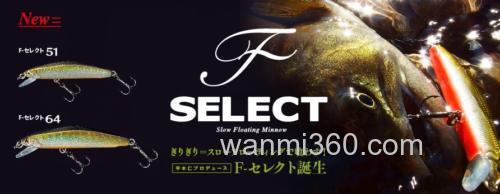 缓速浮动 SMITH F-SELECT 51/64_0