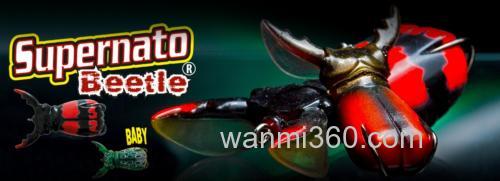 夏季虫诱 Molix Japan SUPERNATO BEETLE BABY_0