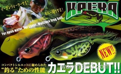 夏至“面”Jackall NEW KAERA_0