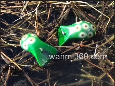呆萌蛙 Smith Mad Shrink Frog_0