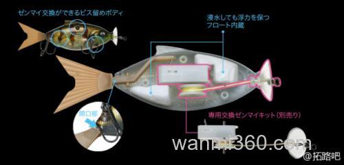 懒人玩具 Fish Arrow MOTOR SHAD_1