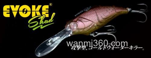 低温直击 Deps Evo Shad CrankBait_0