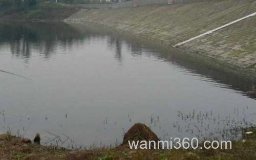 水库钓鱼_4