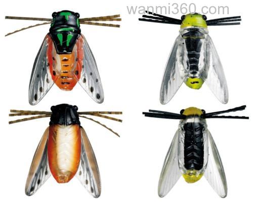 真实蝉诱 DAIWA DROWN CICADA II_0