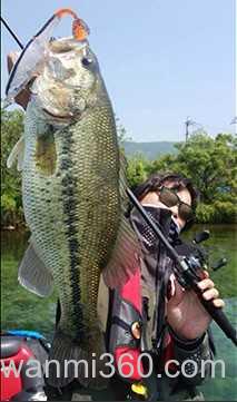 慢慢来 Megabass i-BRAKE SWIMBAIT_3