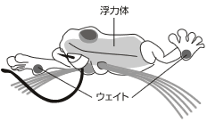 来点野味 Viva Namagaeru 野生蛙_1
