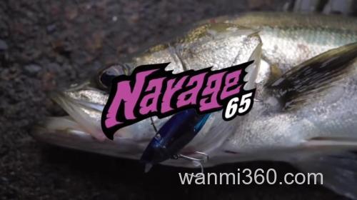 咸水应对 BlueBlue Nareji 65 铁板VIB_0
