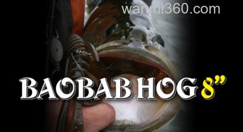 2014 Geecrack BAOBAB HOG_0