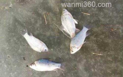 手钩_6