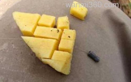 红薯钓鱼_2