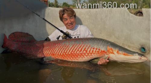 大物强韧 SHIMANO 2025 CAPTURE 强力便携旅行大物竿_6