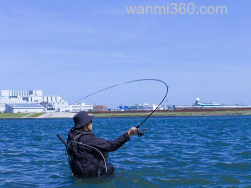 性价海鲈竿今夏登场！DAIWA 2024 LATEO 海鲈竿_7