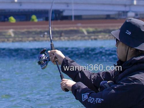 性价海鲈竿今夏登场！DAIWA 2024 LATEO 海鲈竿_8