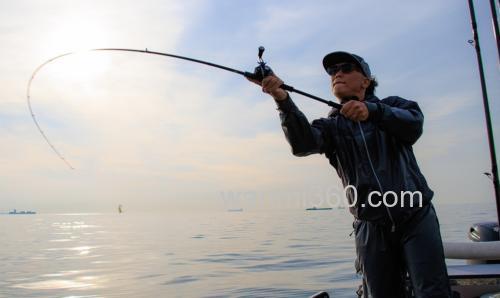 全系列应对海水 DAIWA 2023 SALTIST 海水多用途系列路亚竿_2