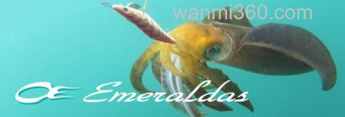 超轻量 DAIWA EMERALDAS AIR AGS 乌鱼竿_0
