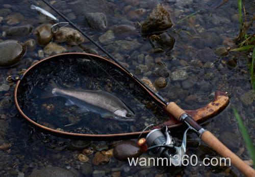 便携加持!SHIMANO 25 CARDIFF STREAM PREMIUM 鳟鱼竿_3
