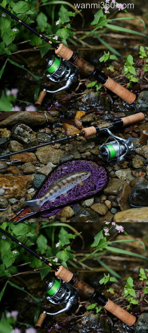 闪耀之竿 DAIWA 2025 Silver Creek Aurum 鳟鱼竿_4