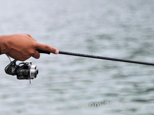 質実剛健!四代目更新!2025 DAIWA BLACK LABEL BASS竿_6