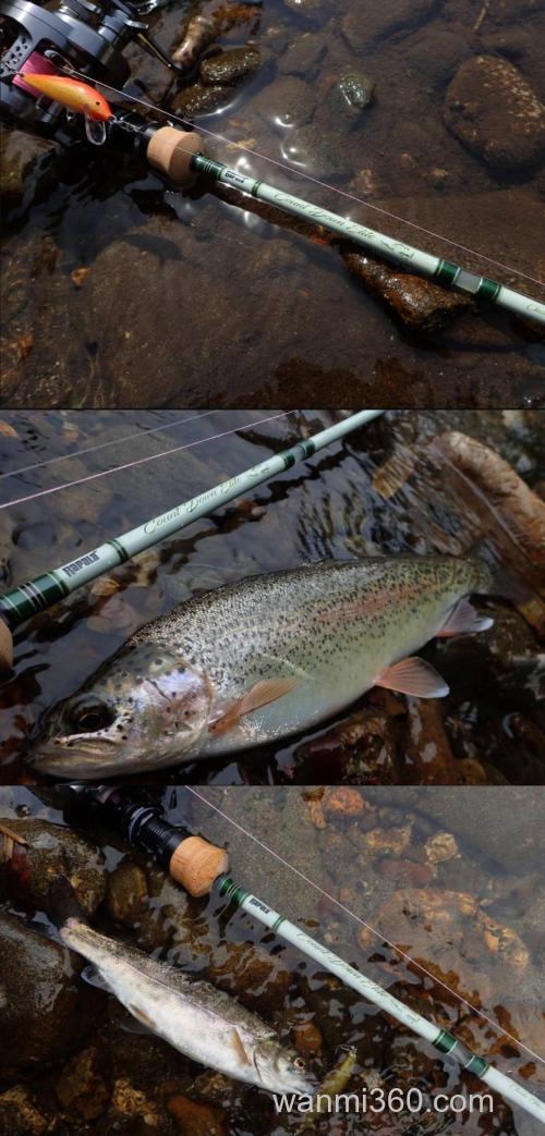 复古气质 Rapala 24 Count Down Elite Classic Glass 5′ 便携鳟鱼竿_2