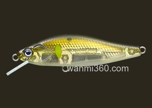 Evergreen 2024 Artisan Native Trout 鳟鱼系列将启动在即_6